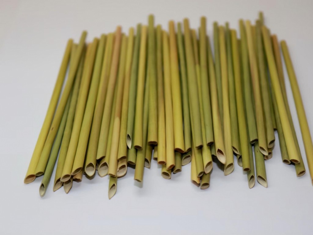 Business Today photo