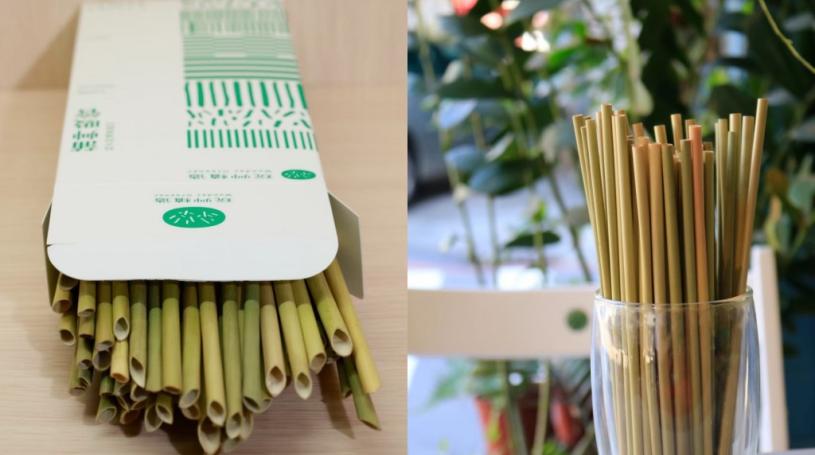 All-natural lepironia straws produced by Wonder Greener. (Business Today photo)